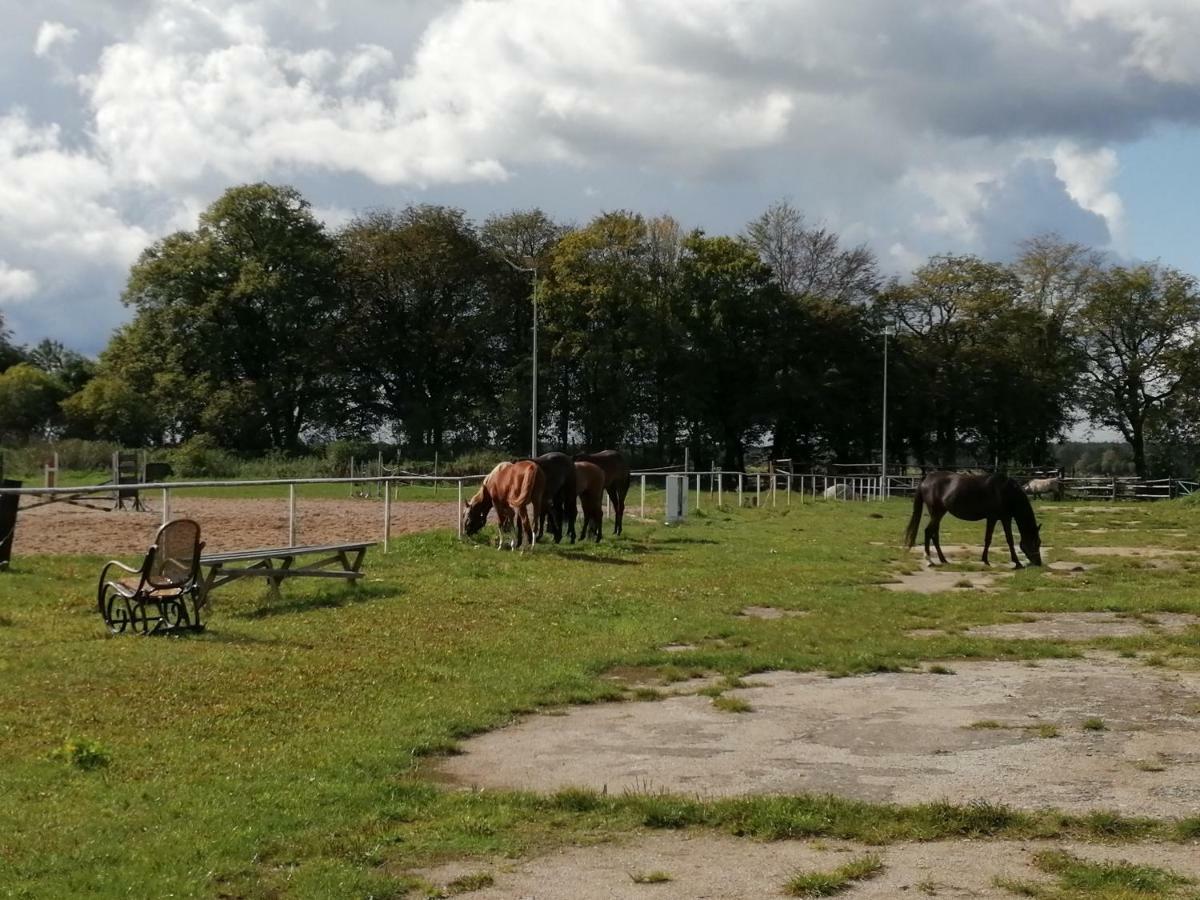 Agroturystyka Stajnia Rusinowo Hotel Tuczno Kültér fotó